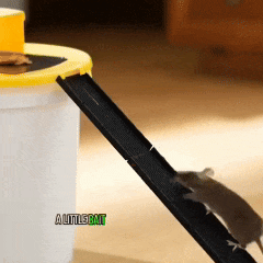 GALIXO Bucket Lid Trap for Rats, Squirrels, Chipmunks & Other Medium Rodents